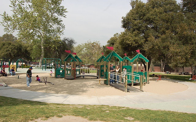 DSC 0249