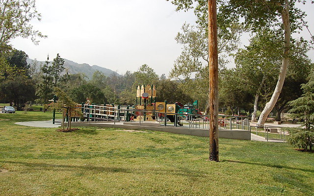 DSC 0246