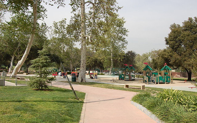 DSC 0247