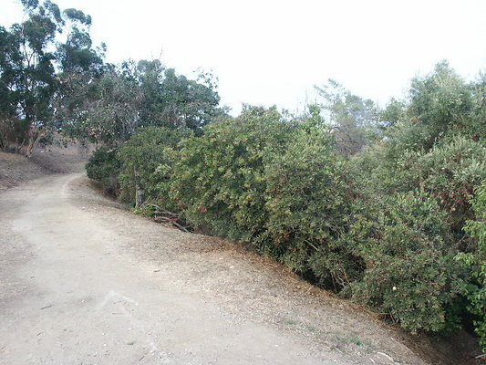 PICT0287