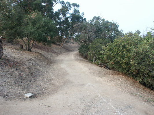 Elysian.Park.trail.Park.row.Drive