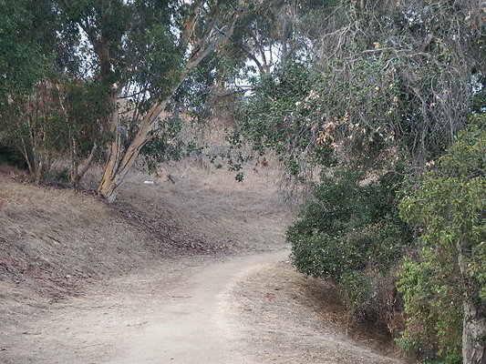 PICT0284