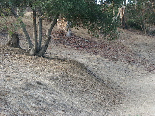 PICT0288