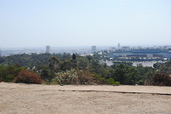 DSC 0050