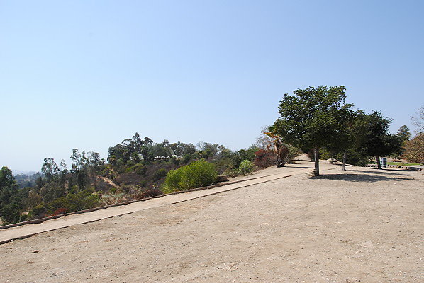 DSC 0049