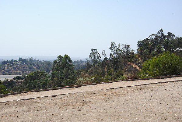 DSC 0052