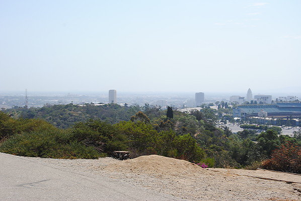 DSC 0044