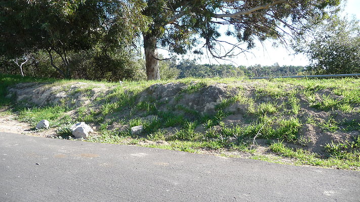 4-P1300436