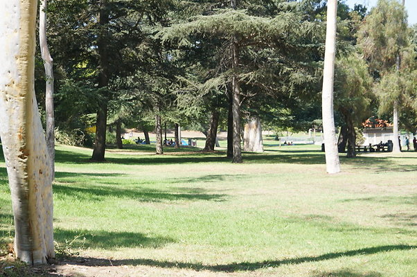 DSC09193