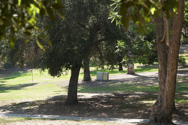 DSC09157