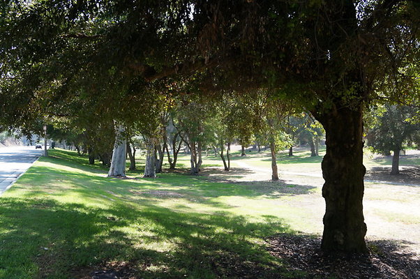 DSC09146