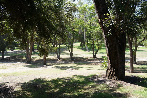 DSC09147