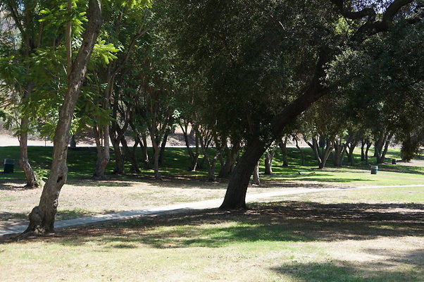 DSC09185