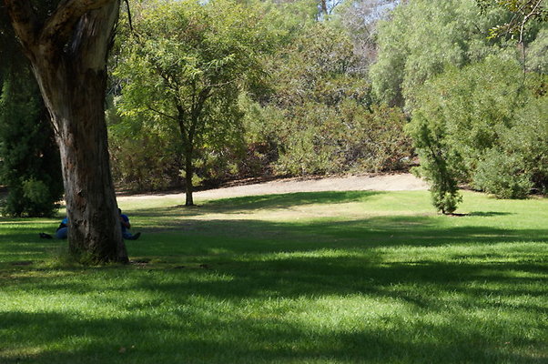 DSC09202