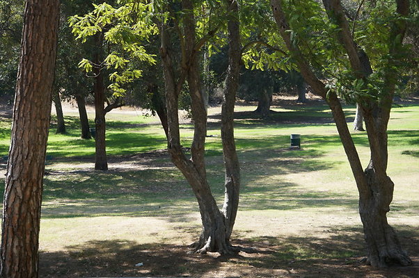 DSC09158