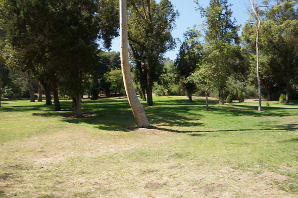 DSC09176