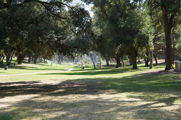 DSC09186