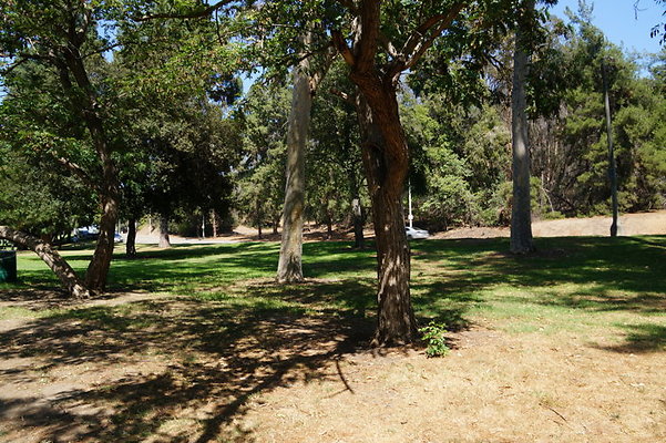 DSC09166