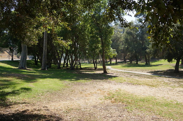 DSC09152