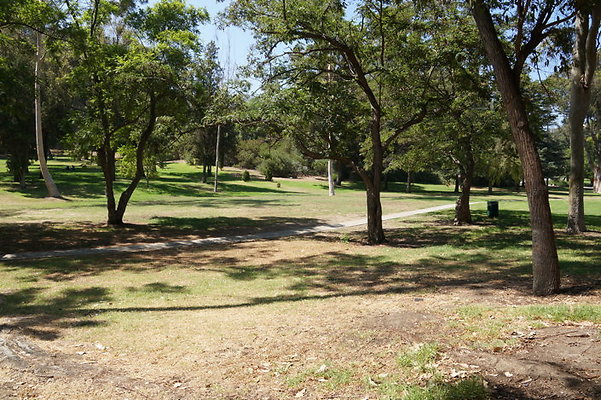 DSC09154