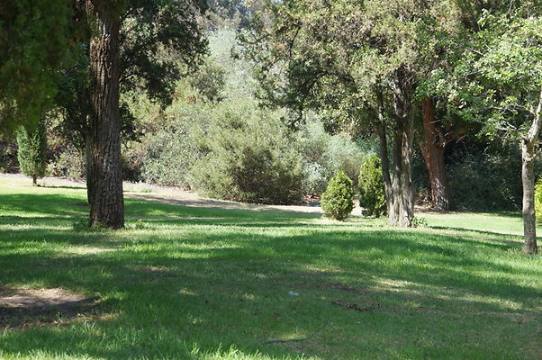 DSC09192