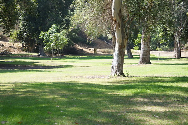DSC09199