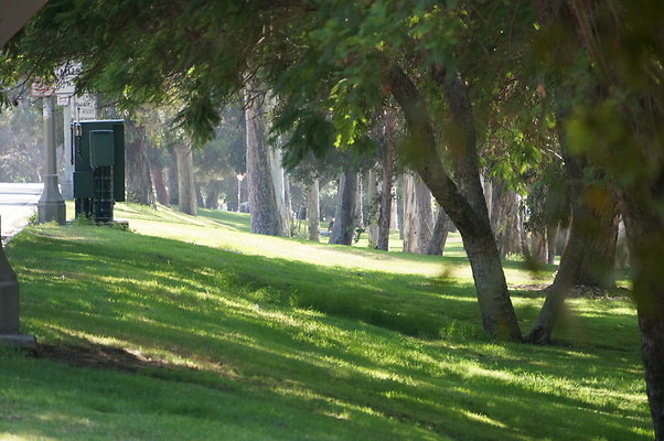 DSC09151