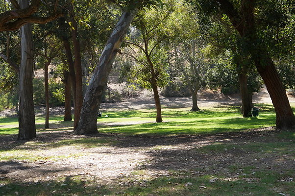 DSC09188