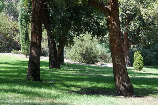 DSC09203