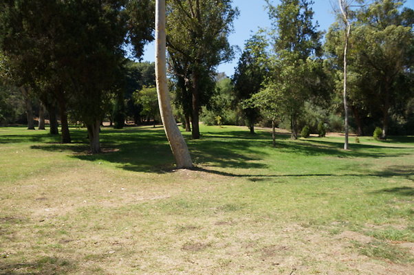 DSC09175