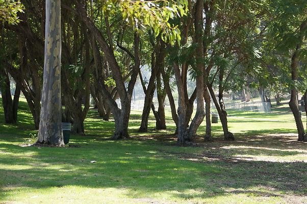 DSC09155