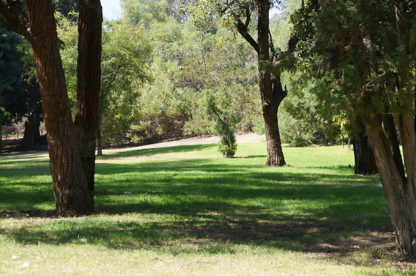 DSC09191