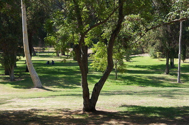 DSC09159
