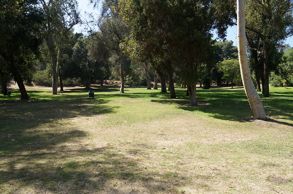 DSC09174