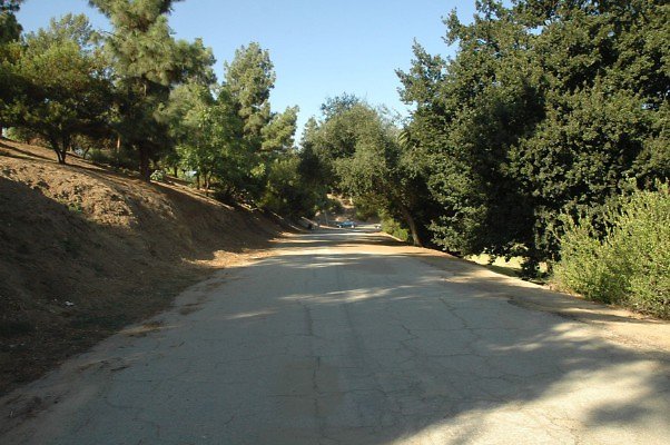 DSC 0288