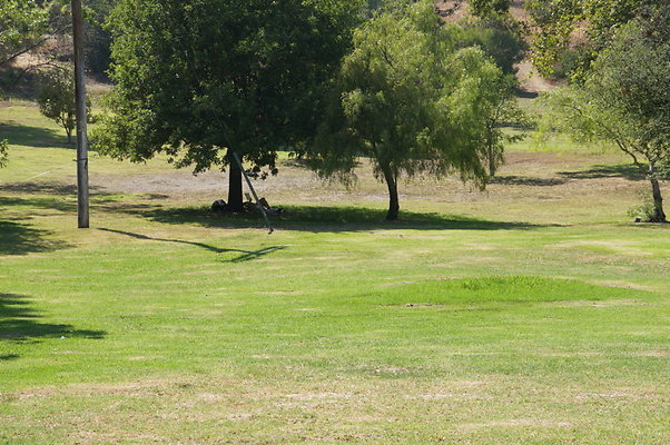 DSC09219