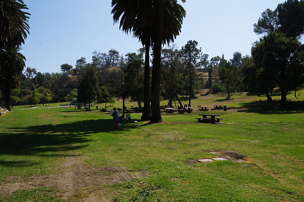 DSC09209