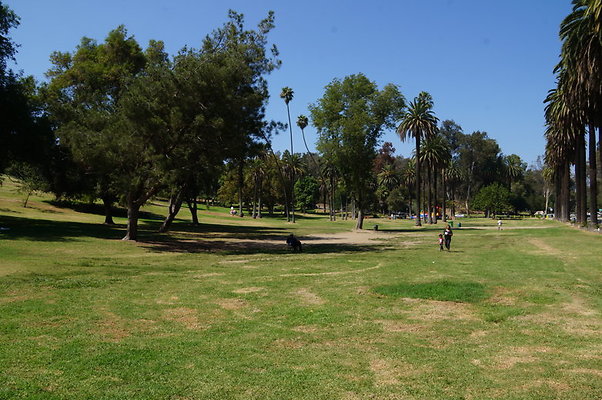 DSC09234