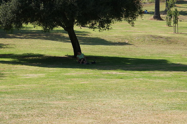 DSC09231