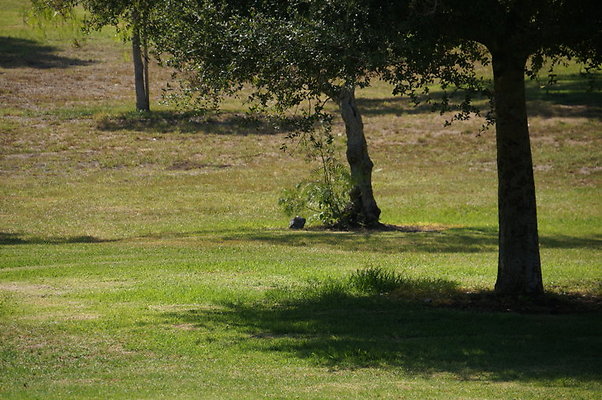 DSC09229