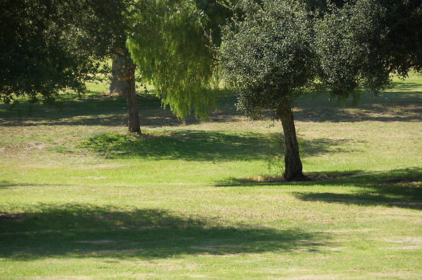 DSC09230
