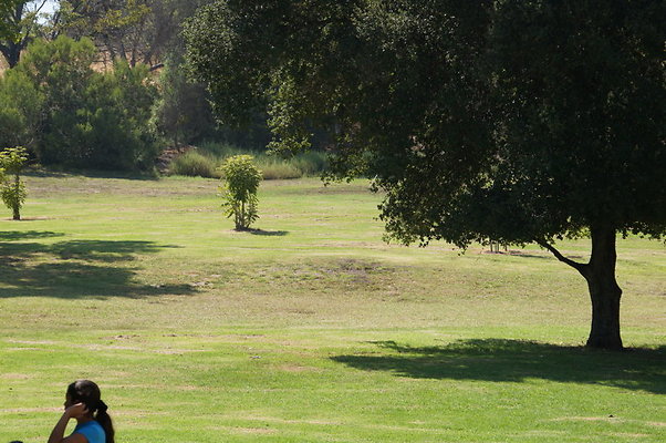 DSC09236