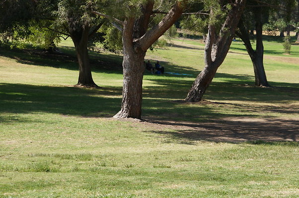 DSC09238