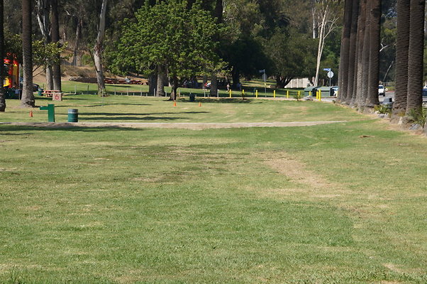 DSC09241