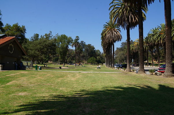 DSC09224