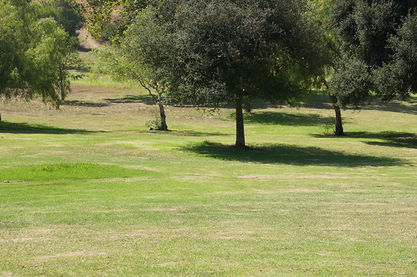 DSC09220