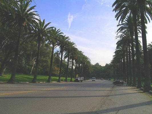 DSCN1625