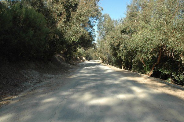 DSC 0284