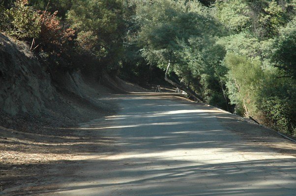 Elysian Drive. No. of Academy