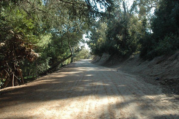 DSC 0275